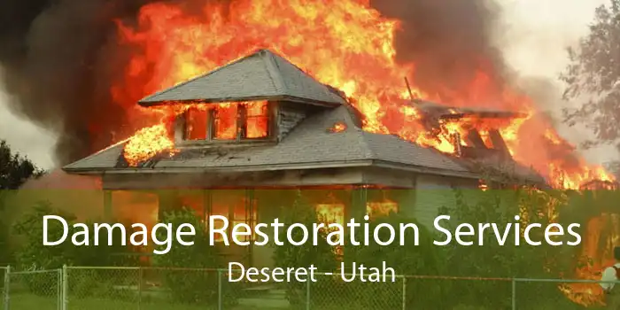 Damage Restoration Services Deseret - Utah