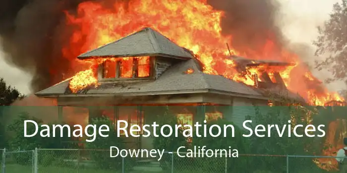 Damage Restoration Services Downey - California