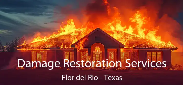 Damage Restoration Services Flor del Rio - Texas