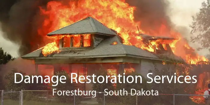 Damage Restoration Services Forestburg - South Dakota
