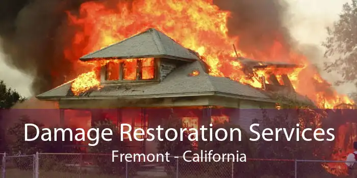 Damage Restoration Services Fremont - California