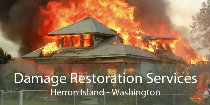 Damage Restoration Services Herron Island - Washington