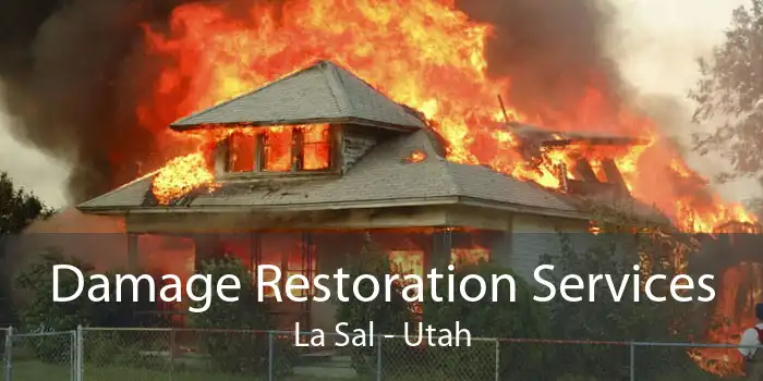 Damage Restoration Services La Sal - Utah