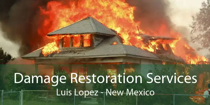 Damage Restoration Services Luis Lopez - New Mexico