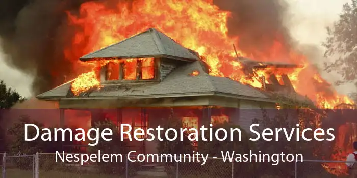 Damage Restoration Services Nespelem Community - Washington