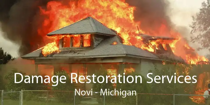 Damage Restoration Services Novi - Michigan