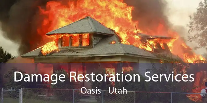 Damage Restoration Services Oasis - Utah