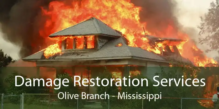Damage Restoration Services Olive Branch - Mississippi