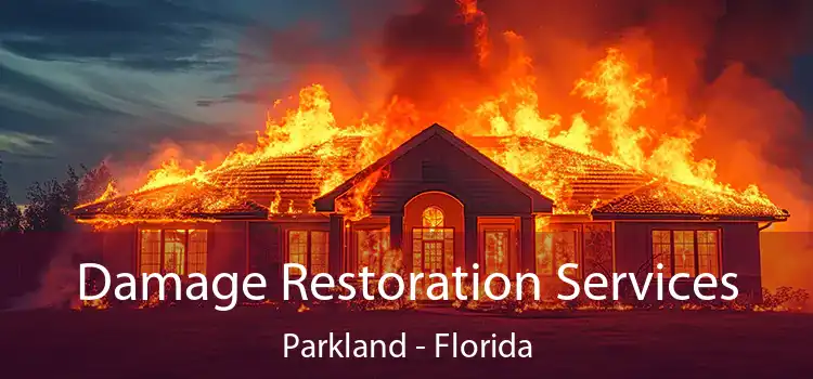 Damage Restoration Services Parkland - Florida