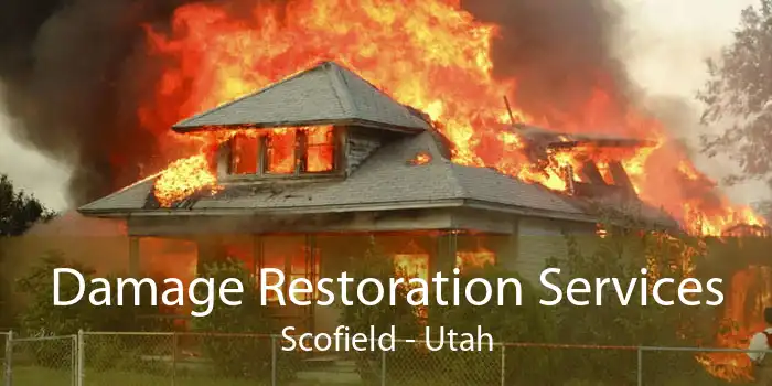 Damage Restoration Services Scofield - Utah