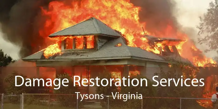 Damage Restoration Services Tysons - Virginia