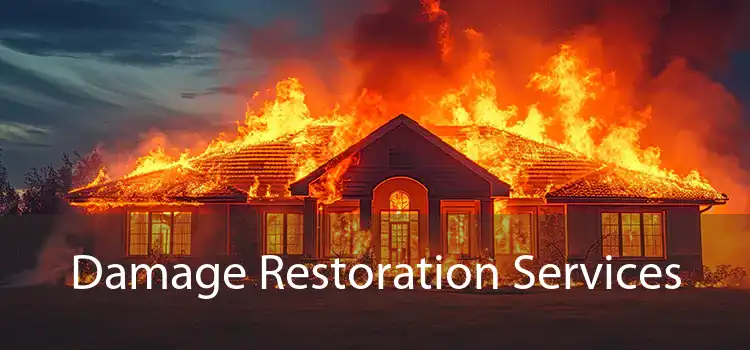 Damage Restoration Services 