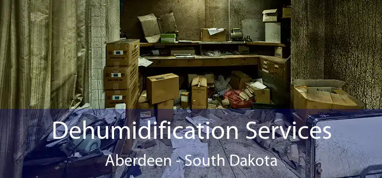 Dehumidification Services Aberdeen - South Dakota