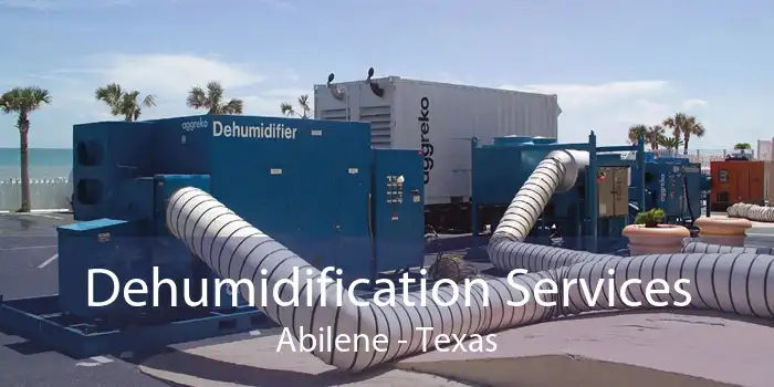 Dehumidification Services Abilene - Texas