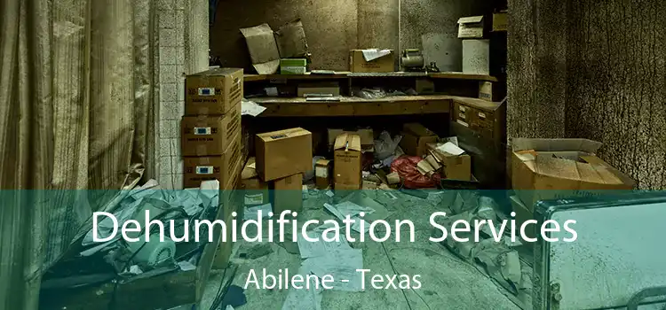 Dehumidification Services Abilene - Texas