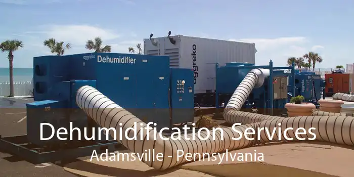 Dehumidification Services Adamsville - Pennsylvania