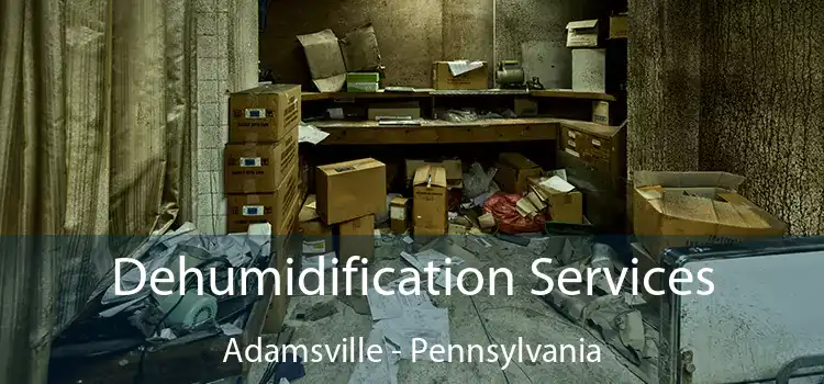 Dehumidification Services Adamsville - Pennsylvania