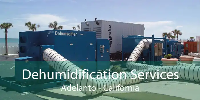 Dehumidification Services Adelanto - California