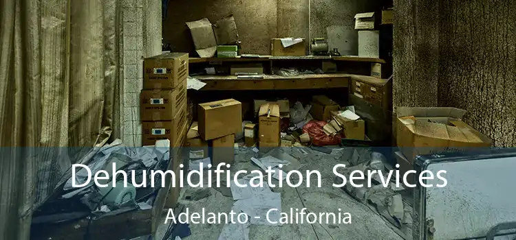 Dehumidification Services Adelanto - California