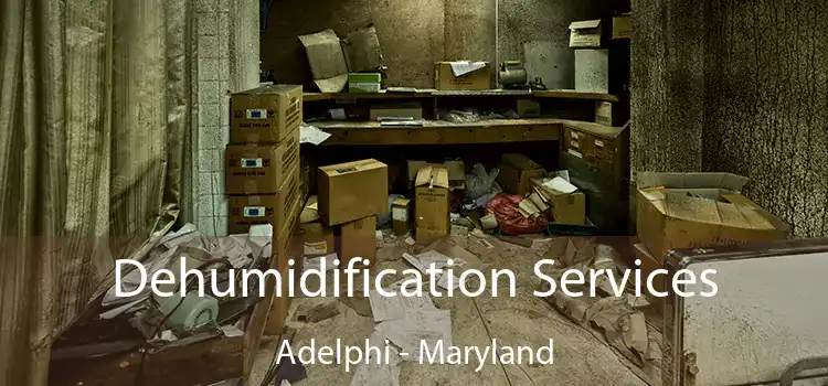 Dehumidification Services Adelphi - Maryland