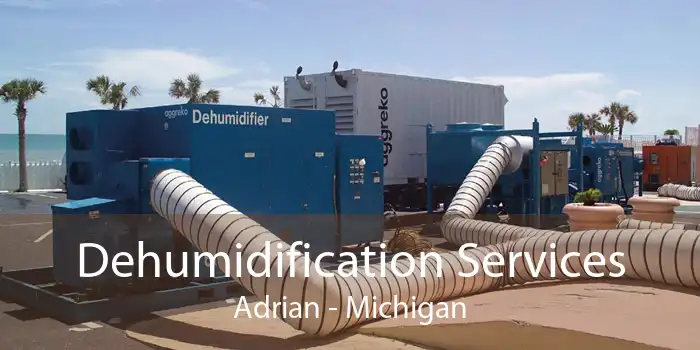 Dehumidification Services Adrian - Michigan