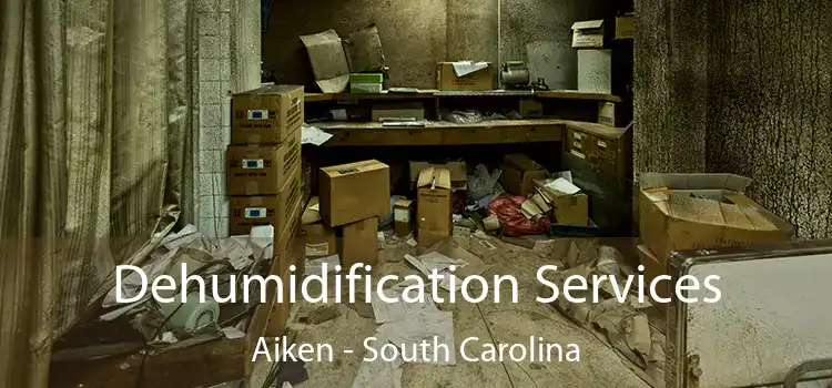 Dehumidification Services Aiken - South Carolina