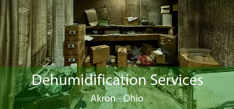 Dehumidification Services Akron - Ohio