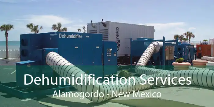 Dehumidification Services Alamogordo - New Mexico