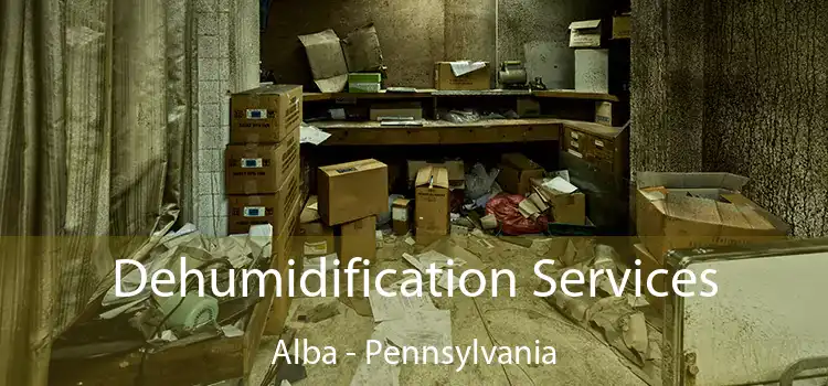 Dehumidification Services Alba - Pennsylvania