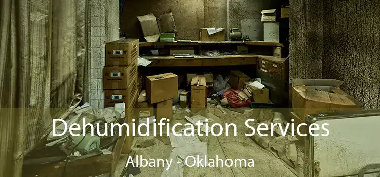 Dehumidification Services Albany - Oklahoma