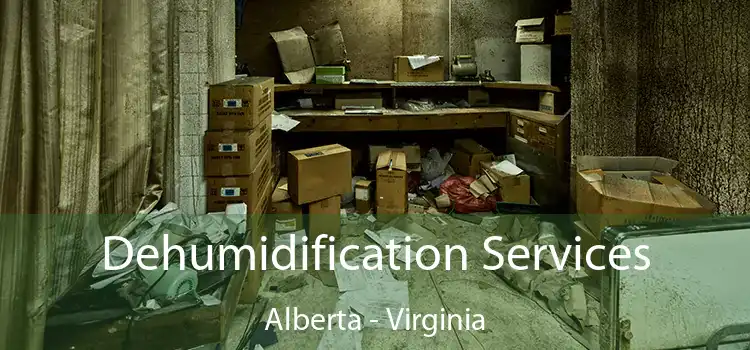 Dehumidification Services Alberta - Virginia