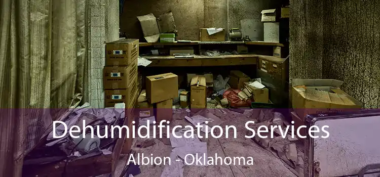 Dehumidification Services Albion - Oklahoma