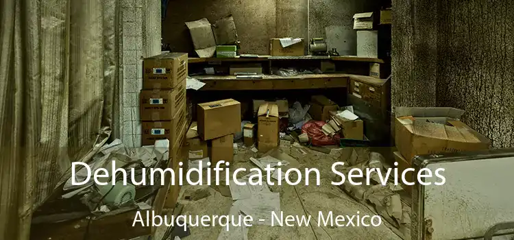 Dehumidification Services Albuquerque - New Mexico