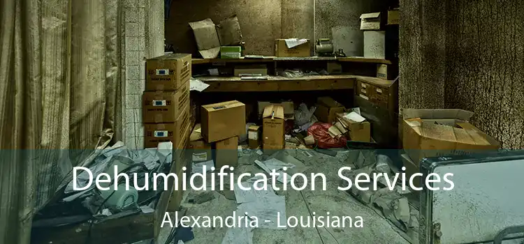 Dehumidification Services Alexandria - Louisiana