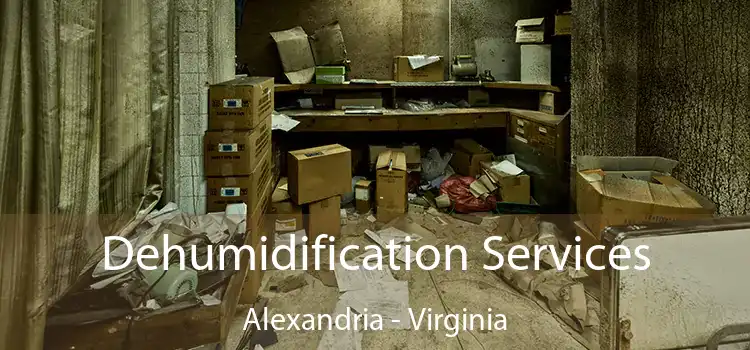 Dehumidification Services Alexandria - Virginia