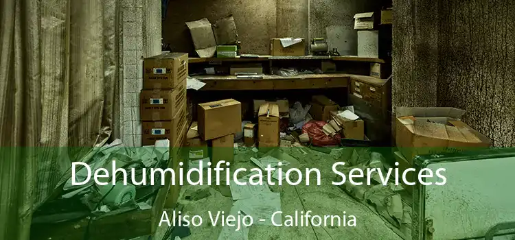 Dehumidification Services Aliso Viejo - California