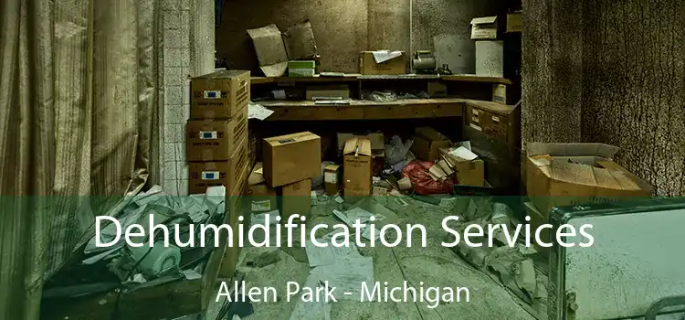 Dehumidification Services Allen Park - Michigan