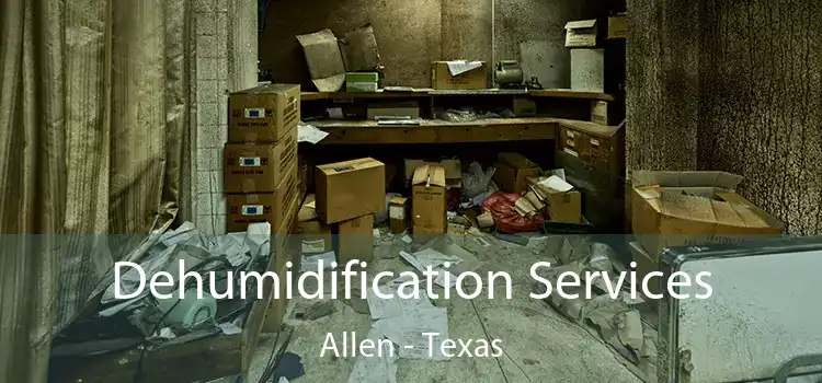 Dehumidification Services Allen - Texas