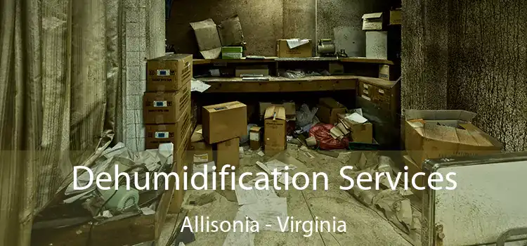 Dehumidification Services Allisonia - Virginia