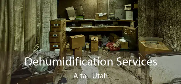 Dehumidification Services Alta - Utah