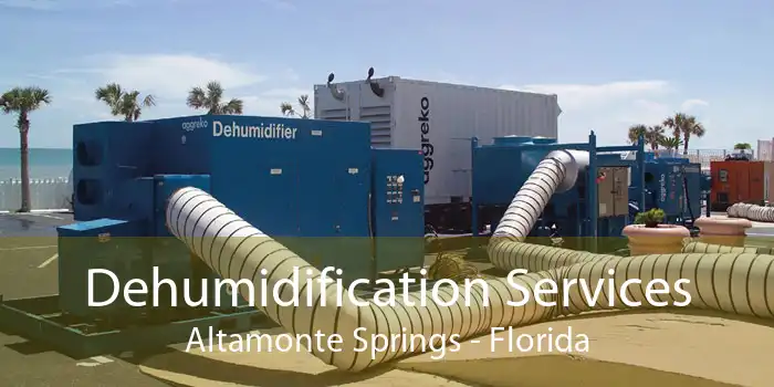 Dehumidification Services Altamonte Springs - Florida