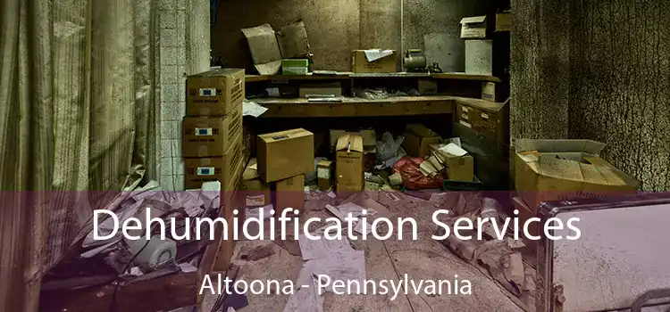 Dehumidification Services Altoona - Pennsylvania