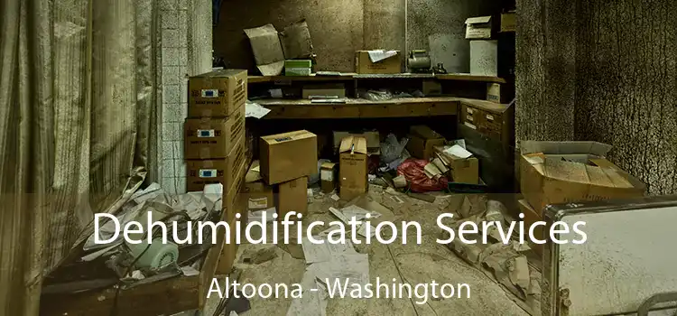 Dehumidification Services Altoona - Washington