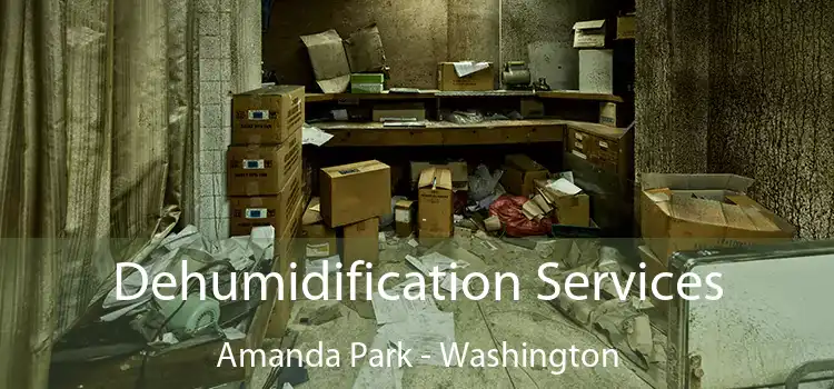 Dehumidification Services Amanda Park - Washington