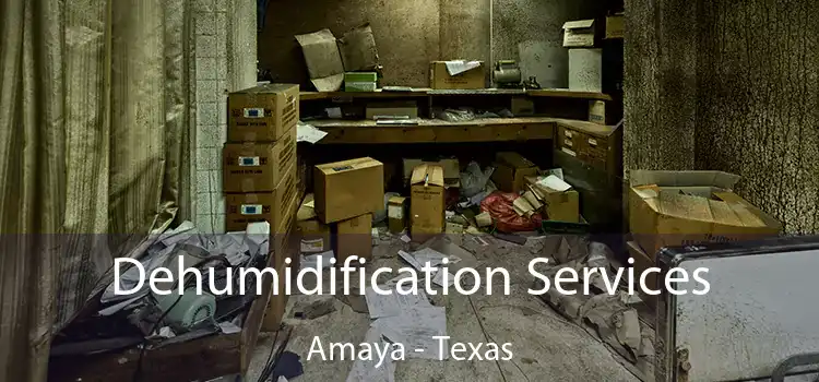 Dehumidification Services Amaya - Texas