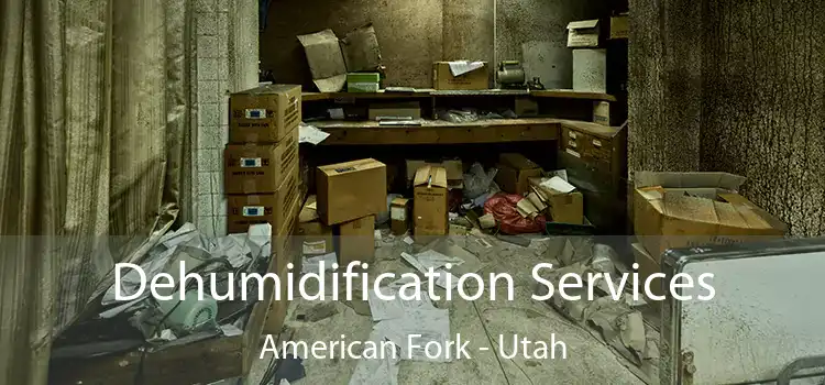 Dehumidification Services American Fork - Utah