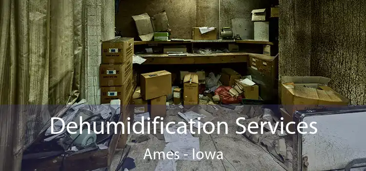 Dehumidification Services Ames - Iowa