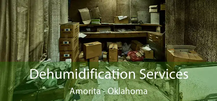 Dehumidification Services Amorita - Oklahoma