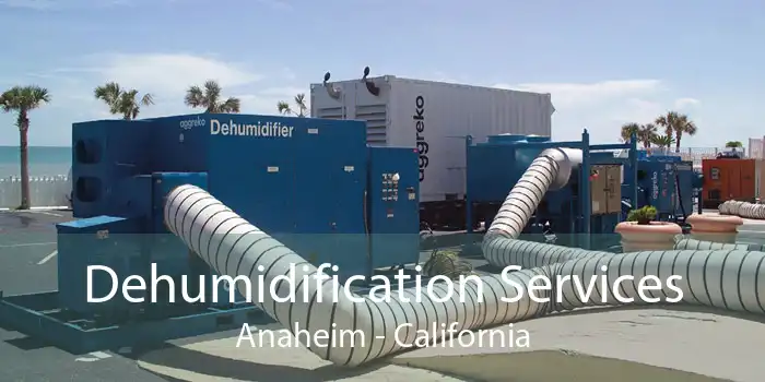 Dehumidification Services Anaheim - California