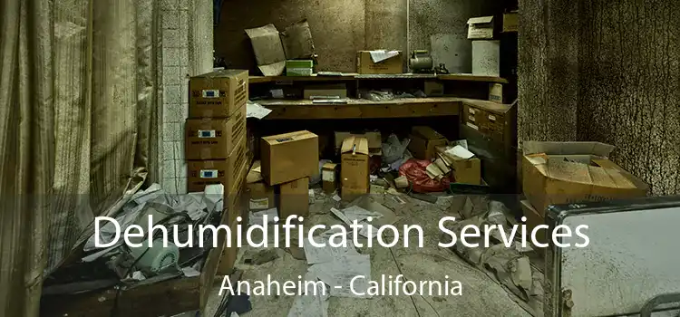 Dehumidification Services Anaheim - California